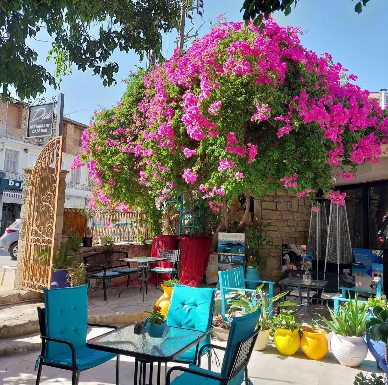 Amina Apartments Zakynthos Town Exterior photo